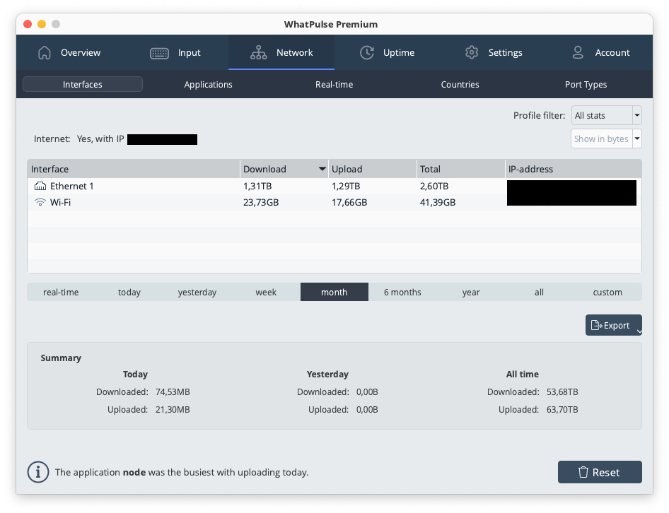 Network interfaces view showing usage statistics for different network adapters